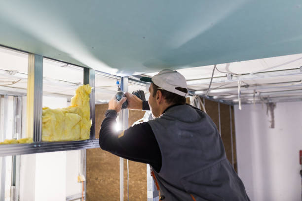 Best Eco-Friendly Insulation in St Clair, PA